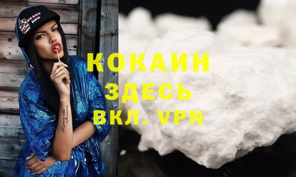 спайс Гусь-Хрустальный